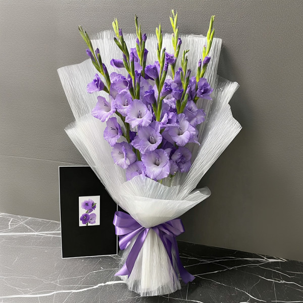 Evening Veil — Purple Gladiolus Dream